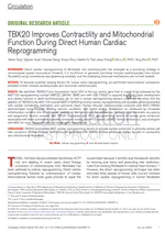 TBX20 Improves Contractility and Mitochondrial Function during Direct Human Cardiac Reprogramming